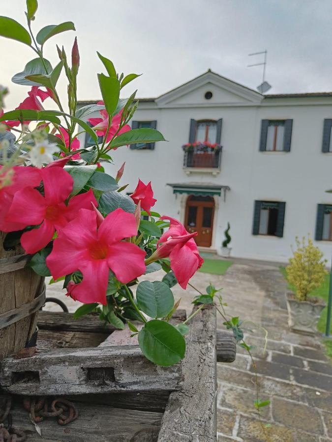 Agriturismo Villa Greggio Casalserugo Exteriör bild