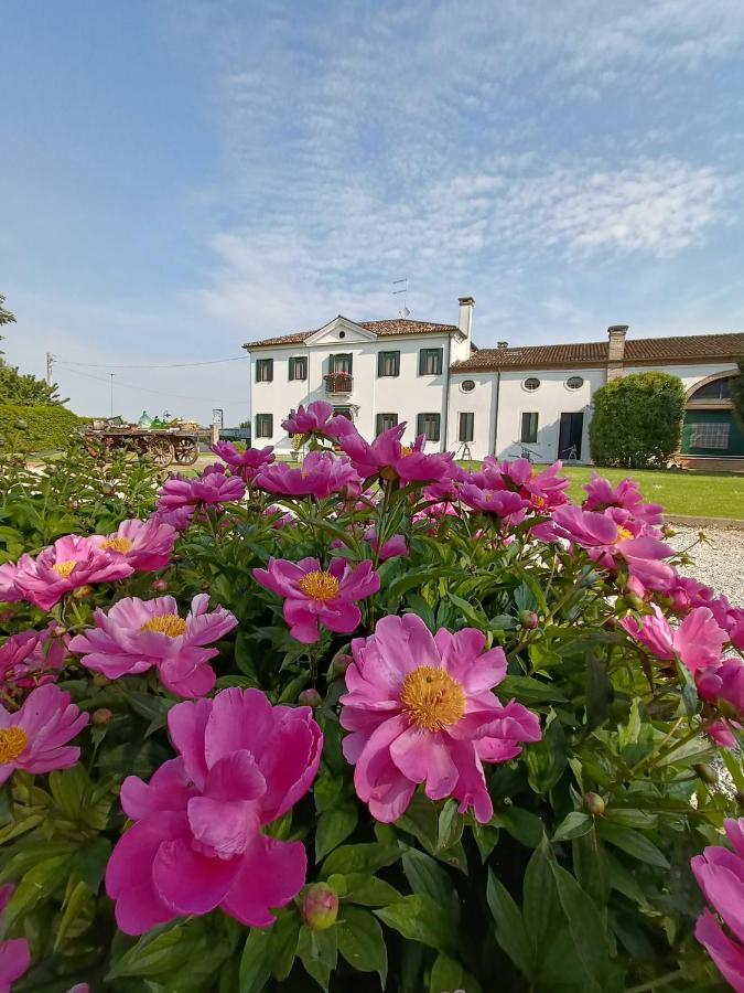 Agriturismo Villa Greggio Casalserugo Exteriör bild